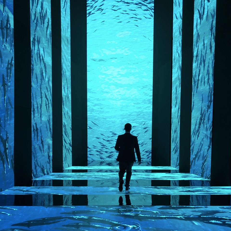 Immersive Installations project image 1